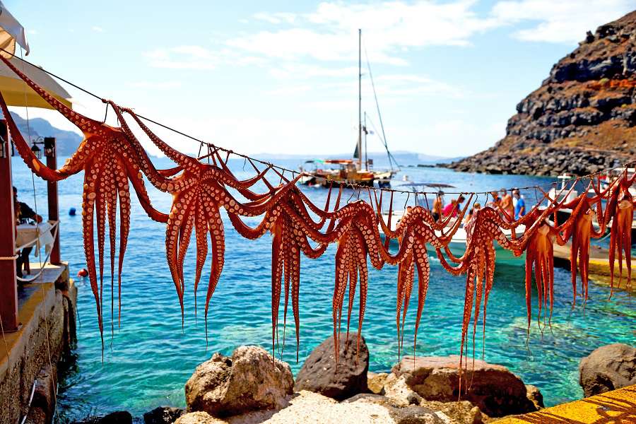 8.-octopus-drying-in-the-sun-europe-greece-santorini-and-light-shutterstock_451264018